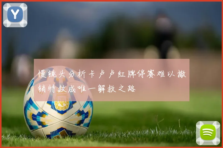 慢镜头分析卡卢卢红牌停赛难以撤销特赦成唯一解救之路