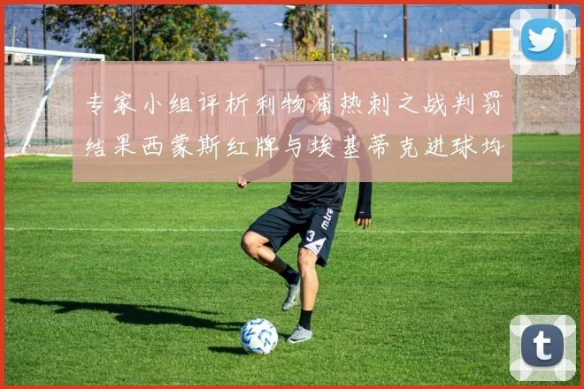 专家小组评析利物浦热刺之战判罚结果西蒙斯红牌与埃基蒂克进球均属合理