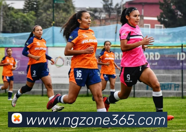 NG娱乐发展历程